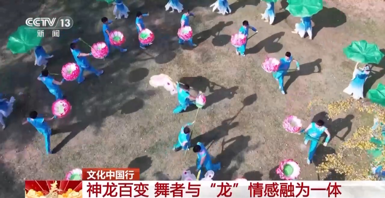 龙、百叶龙……来看不拘一格的龙舞之美冰球突破平台文化中国行丨火龙、板凳(图12)