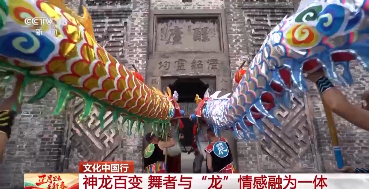 龙、百叶龙……来看不拘一格的龙舞之美冰球突破平台文化中国行丨火龙、板凳(图9)