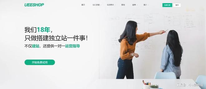 独立站都死在第一步？选平台避坑指南冰球突破豪华版为什么大多数的情趣(图8)